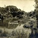 Lily Pond (en) en la ciudad de San Francisco