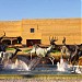 Eiteljorg Museum of American Indians and Western Art in Indianapolis, Indiana city