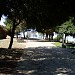 Parco di Bonaria in Cagliari city