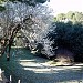 Parco di Monte Urpinu in Cagliari city