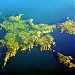 Sark