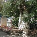 1821 Square (Platia ) (en) в городе Ханья