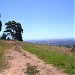 Mt Osmond lookout in Adelaide, SA city