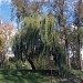 Городской парк им. Ж. Э. Жилибера в городе Гродно