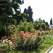 Botanischer Garten in Stadt Duschanbe