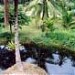 Lupon in Mati city