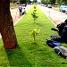 Lawn in Hyderabad city