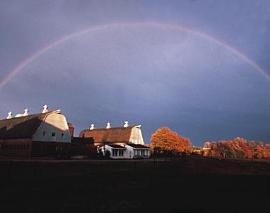 North Carolina State University College Of Veterinary Medicine Raleigh North Carolina