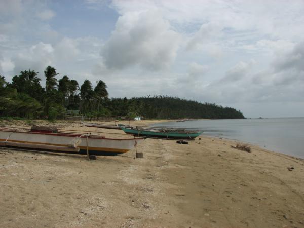 Unisan Quezon Poblacion Unisan unisan-quezon-poblacion-unisan