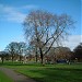 Victoria Park in Edinburgh city