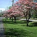 Hagerstown City Park