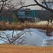 Pond