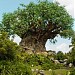 Disney's Animal Kingdom