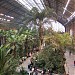 Jardín Botánico de Atocha