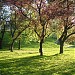 Парк Морское Око (ru) in Warsaw city