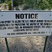 PCT at Eagles Roost picnic area - beginning of 