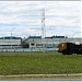 ОАО «Нефтекамский автозавод» (НефАЗ) в городе Нефтекамск