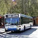 Pętla autobusowa 