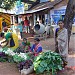 some vegetable shopping?