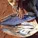 Kumta Fish Market in Kumta city