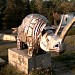 ZOO in Zamość city