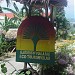 Gardens of Malasag Eco-tourism Village in Cagayan de Oro city