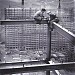 ( site of ) Red Road Flats in Glasgow city