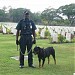 Bomana War Cemetery