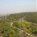 SHANGHAI BINJIANG FOREST PARK 上海滨江森林公园 en la ciudad de Shanghái
