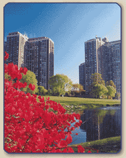 North Shore Towers New York City New York