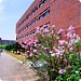 Department of Mechatronics (GIST) in Gwangju city