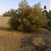 فراغ فراغ (ar) in Rafah City city
