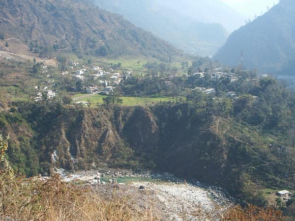 Tejam(Munsiari)