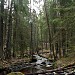 Пороги в городе Заходское