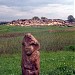 Национальный историко-археологический заповедник «Каменная Могила»
