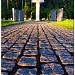 Aukštųjų Šančių karių kapinės yra Kaunas mieste
