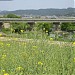 Yongdu Bridge in Gwangju city