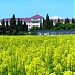 Výzkumný ústav rostlinné výroby (VÚRV) (cs) в городе Прага