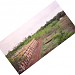 NIT Raipur in Raipur city