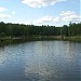 Пруд Лось в городе Москва
