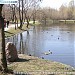 Леоновский пруд в городе Москва