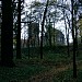 Park in Prochowice city