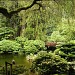 Portland Japanese Garden