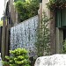 南蓮園池 在 香港 城市 
