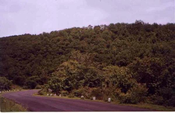 Panshet Dam / Tanaji Sagar Lake