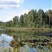 Zirgezers in Daugavpils city