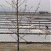 Nampho Salt Farm in Nampo city