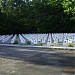 Захоронение солдат Красной Армии (ru) in Piotrkow Trybunalski city