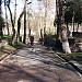 Городской парк