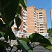 16-й микрорайон Куркино в городе Москва
